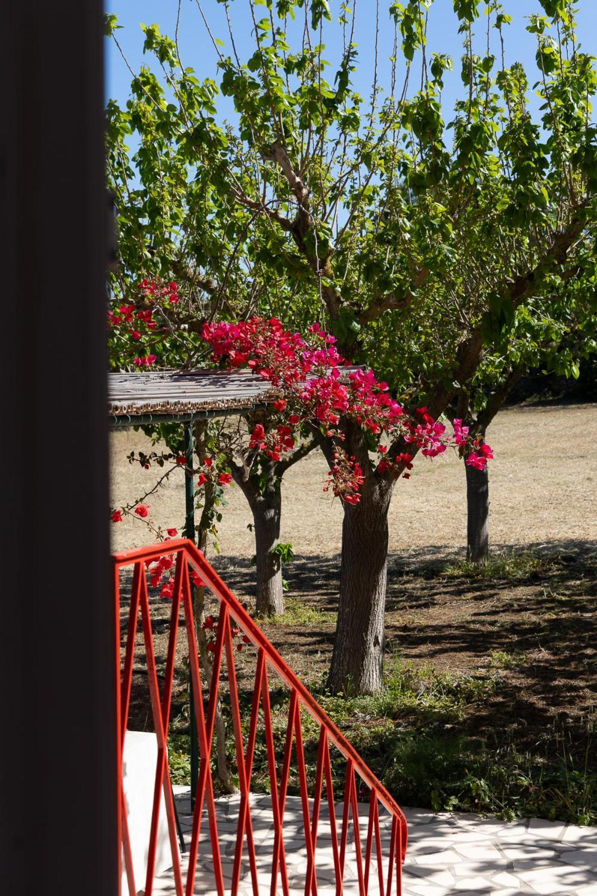 ליקסורי Villa Ostria מראה חיצוני תמונה